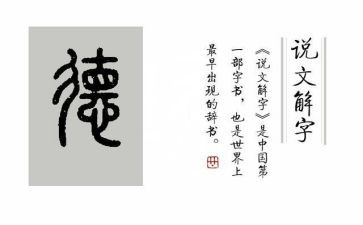 小学教师师德先进事迹8篇