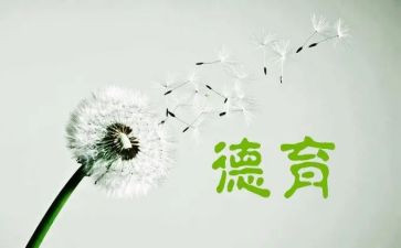 2023班德育工作计划优质5篇