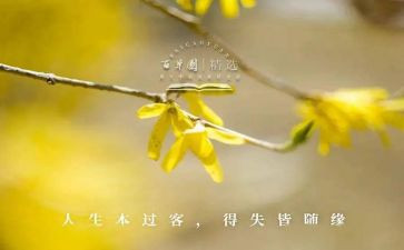 疫情中的得与失作文7篇