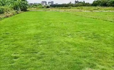 初中地理教师个人年度工作总结5篇