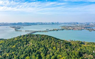 东湖游作文精选6篇