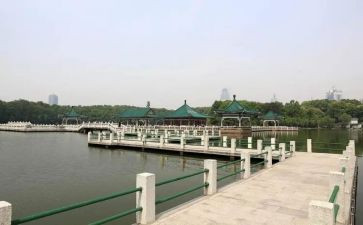 东湖游作文参考7篇