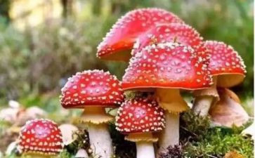 禁毒活动心得5篇