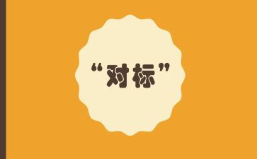 企业对标调查报告6篇