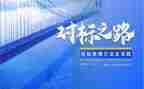 企业对标调查报告优秀6篇