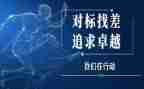 2023年对标工作报告5篇