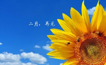 大班二月份的工作计划5篇