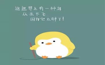 减肥计作文参考6篇