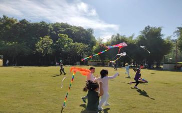 风筝教学教案参考7篇