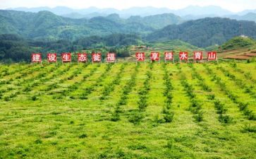 化扶贫工作报告最新7篇