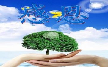 2024年感恩节活动方案精选8篇