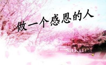 感恩老师演讲稿最新5篇