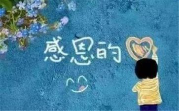 关于感恩的好演讲稿800字5篇