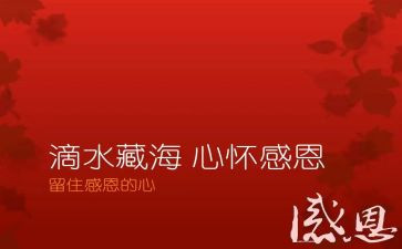 感恩母演讲稿模板7篇