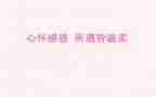 感恩节演讲稿精选8篇