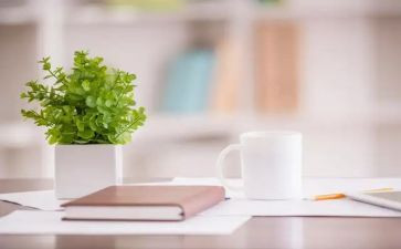 小猪爱干净小班教案6篇