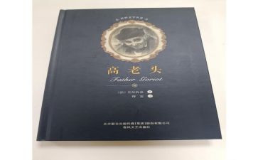 《高老头》读后感600字8篇