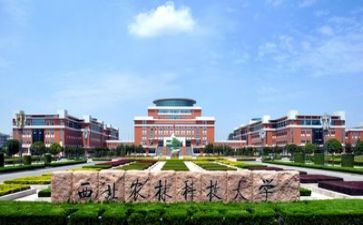 高校系工作计划8篇