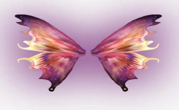 《翅膀》作文600字推荐8篇