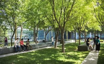 公共卫生述职报告7篇