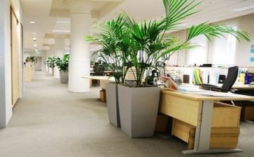 财务公司年度工作总结模板7篇