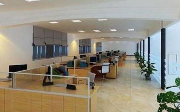 公司的总结和工作计划模板8篇