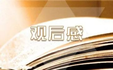 对老师观后感优质5篇