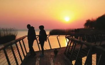 万里归途的观后感通用8篇