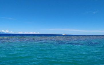 海老人与海的读后感参考6篇