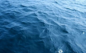 海淘需求调查报告7篇
