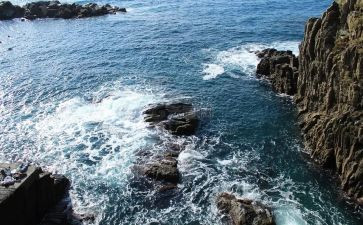 海创述职报告通用5篇