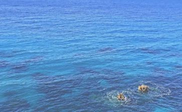 梨花海演讲稿5篇