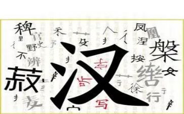 《我和汉字》作文模板5篇