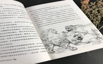 黑焰读后感300字通用8篇