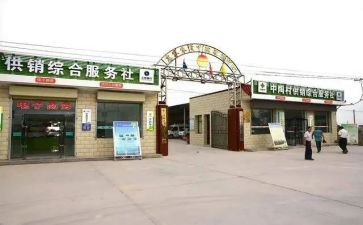 村合作社述职报告5篇
