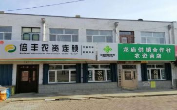 专业合作社工作总结6篇