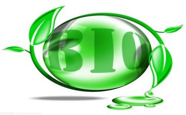环保袋的调查报告模板6篇