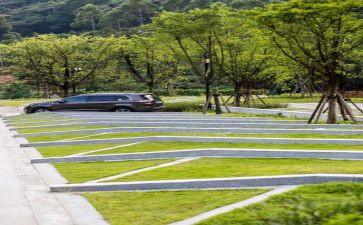 环境调查报告800范文参考5篇