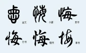 悔与悟高中作文800字推荐5篇