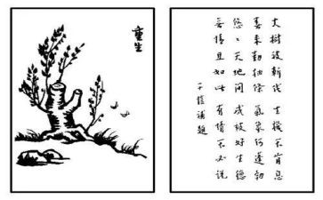 护生的自我鉴定优质8篇