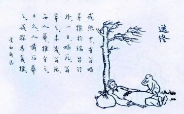 用生命呵护生命作文5篇