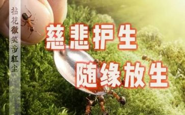 护生的自我鉴定模板8篇