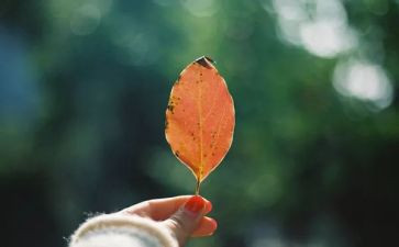 简单的幸福作文精选8篇