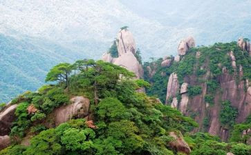 江西历年高考作文7篇