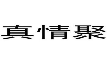 写真情作文优秀5篇