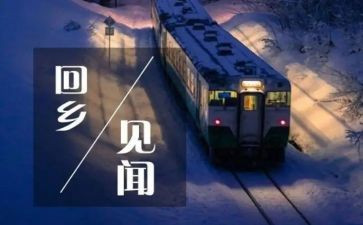 高中见闻作文6篇