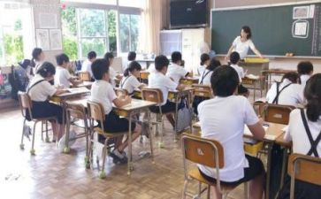 教师见习工作总结优秀8篇