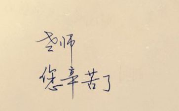 个人总结教师工作总结推荐5篇