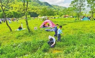 中班郊游教案8篇