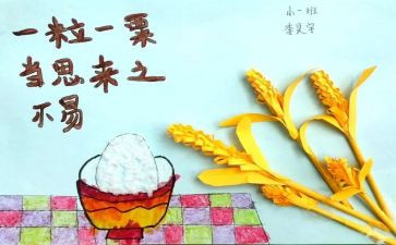 安全教育与青春节粮心得体会7篇